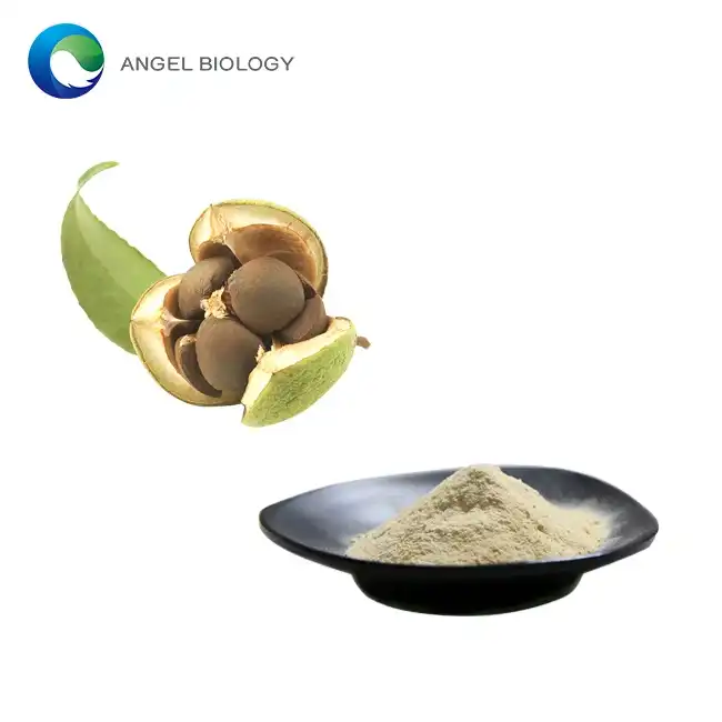 How Does Camellia Seed Extract Powder Benefit Skin? A Natural Moisturizer and Antioxidant